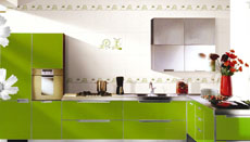 绿色线条flash官网片头