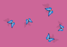 飞舞的蝴蝶flash动画