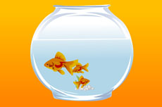 鱼缸里的金鱼flash矢量动画