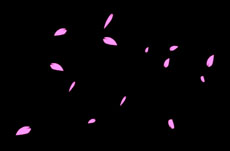 樱花飞舞flash矢量素材