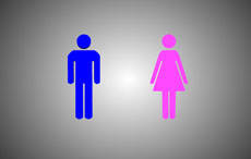 立体男女标志flash动画