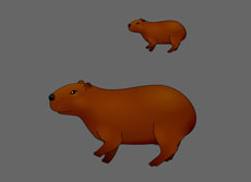 没有尾巴的熊flash动画