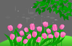 粉红色玫瑰花flash动画