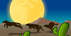 沙漠奔跑的狼狗flash动画
