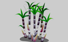 甘蔗树flash植物动画素材