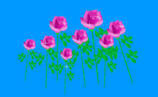 八朵鲜艳的玫瑰花flash动画