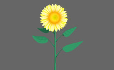 一朵向日葵flash植物素材