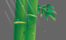绿色竹子flash背景素材