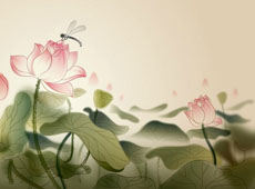 flash制作蜻蜓与莲花动画素材