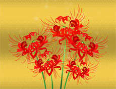红色彼岸花flash动画