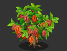 巴旦木坚果flash植物