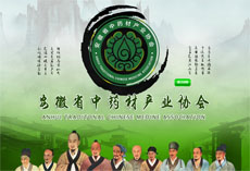 医药公司网站flash片头
