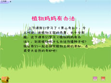 植物妈妈有办法flash课件