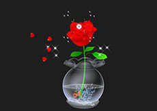 鱼缸里的玫瑰花flash动画