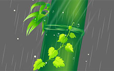 竹子水滴跟叶子flash动画