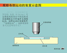 布朗运动flash物理课件