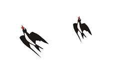 两只燕子打架flash动画
