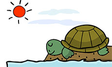 想飞的乌龟故事flash动画