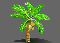 卡通椰子树flash动画