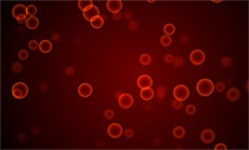 红色血管气泡flash动画