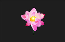 鲜花开出粉色花朵flash动画