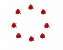 红色玫瑰圆心向外扩散效果flash动画