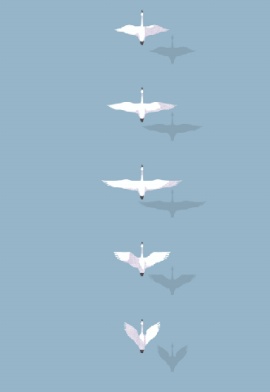 展翅向上飞的竖排白天鹅flash动画