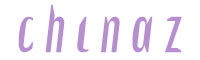 Salvesen字体