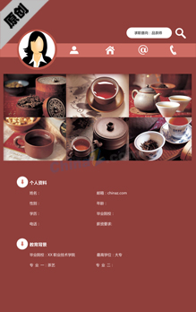 品茶师简历模板下载