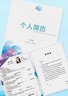 销售管理整套简历模板