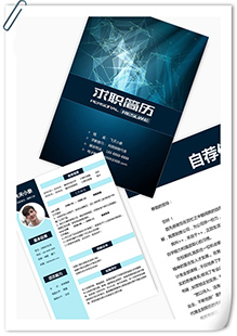 网络销售代表简历模板