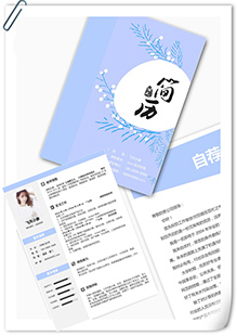 java项目经理简历模板