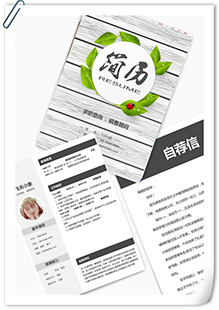 销售顾问个人简历模板