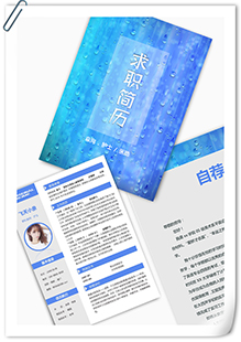 护士医助求职简历模板