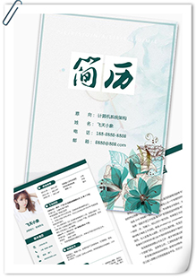 计算机系统架构师简简历模板