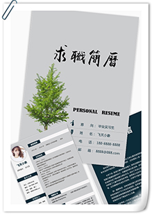 灰色实习生简历模板