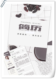 INS风室内设计简历模板