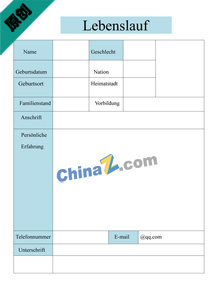 德语表格简历模板