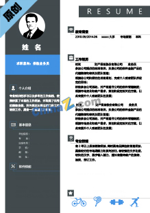 保险业务员简历模板下载