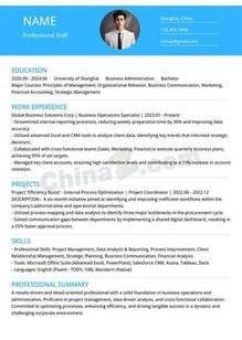 干练职场英文个人简历模板