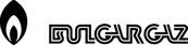 Bilgargaz