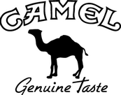 Camel