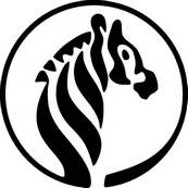 Zebra_omsk