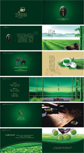 绿茶宣传册设计矢量素材