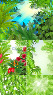 热带植物矢量素材下载