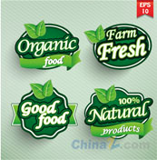 绿色食物标签设计矢量