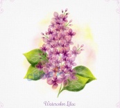 水彩绘紫丁香矢量素材