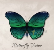 精美绿色蝴蝶设计矢量素材