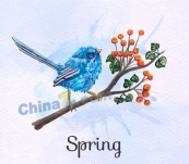 彩绘春季花枝上的蓝色鸟矢量