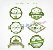 绿色有机食物标签矢量图
